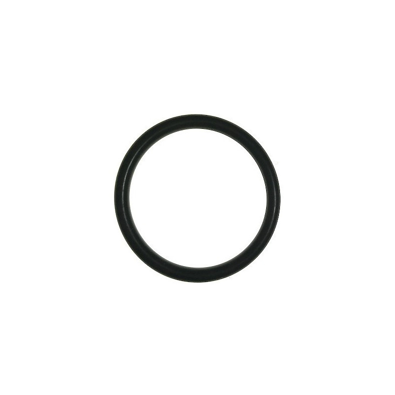 1" Self-Priming Snail Gasket for Motor Pump CM 46 N