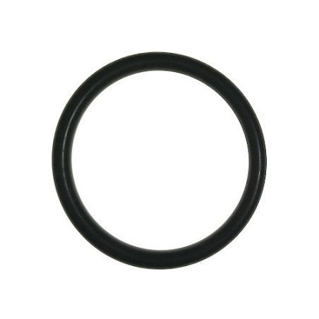 1" Self-Priming Snail Gasket for Motor Pump CM 46 N