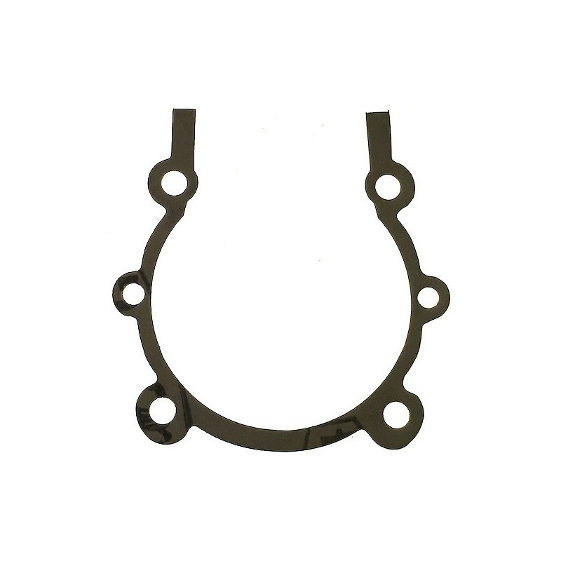 Guarnizione Carter Motore per Motopompa CM 46/N