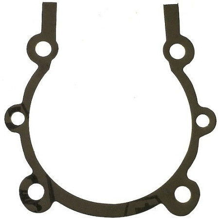 Guarnizione Carter Motore per Motopompa CM 46/N