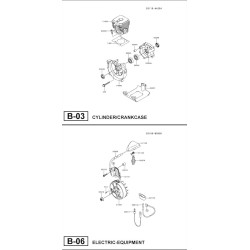 Ricambi Ama per Decespugliatore AGP 270