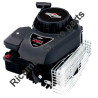 Ricambi Briggs & Stratton per Motore Serie 450