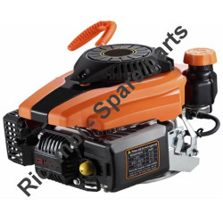 Ricambi Ama per Motore per Rasaerba MVG - T100