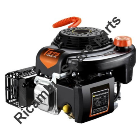 Ricambi Ama per Motore per Rasaerba MVG - T375