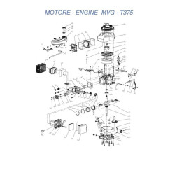 Ricambi Ama per Motore per Rasaerba MVG - T375