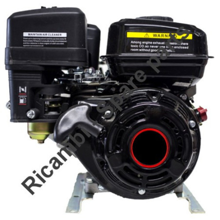 Ricambi Ama per Motore a 4 Tempi G120F