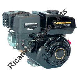 Ama Spare Parts for Engine 4 Stroke G160F