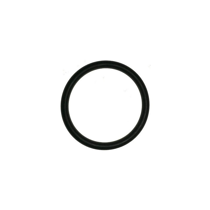 Guarnizione Chiocciola Pompa 70/1A per Motopompa CM70