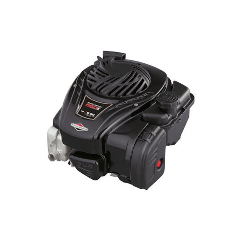 Engine B&S-Series 550 OHV-Shaft 22x60