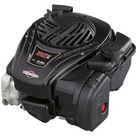 Motore B&S-Series 550 OHV-Albero 22x60