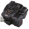 Engine B&S-Series 550 OHV-Shaft 22x60