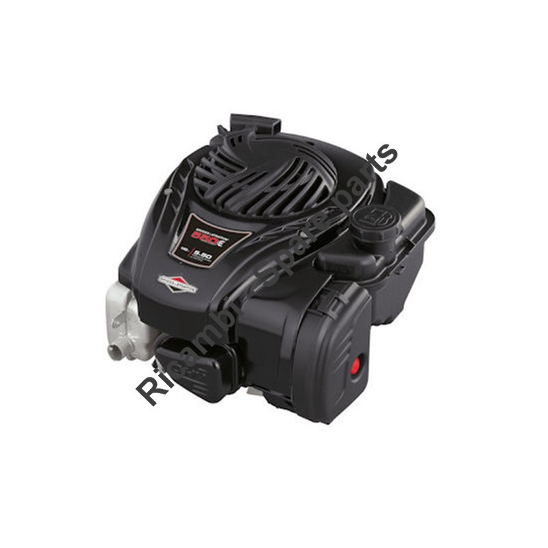 Motore B&S-Series 550 OHV-Albero 22x60