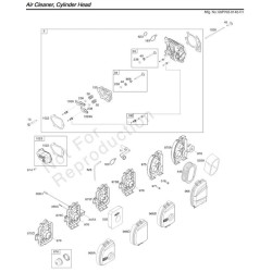 Motore B&S-Series 550 OHV-Albero 22x60