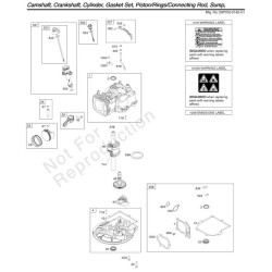 Ricambi Briggs & Stratton per Motore Serie 550 OHV-Albero 22x60