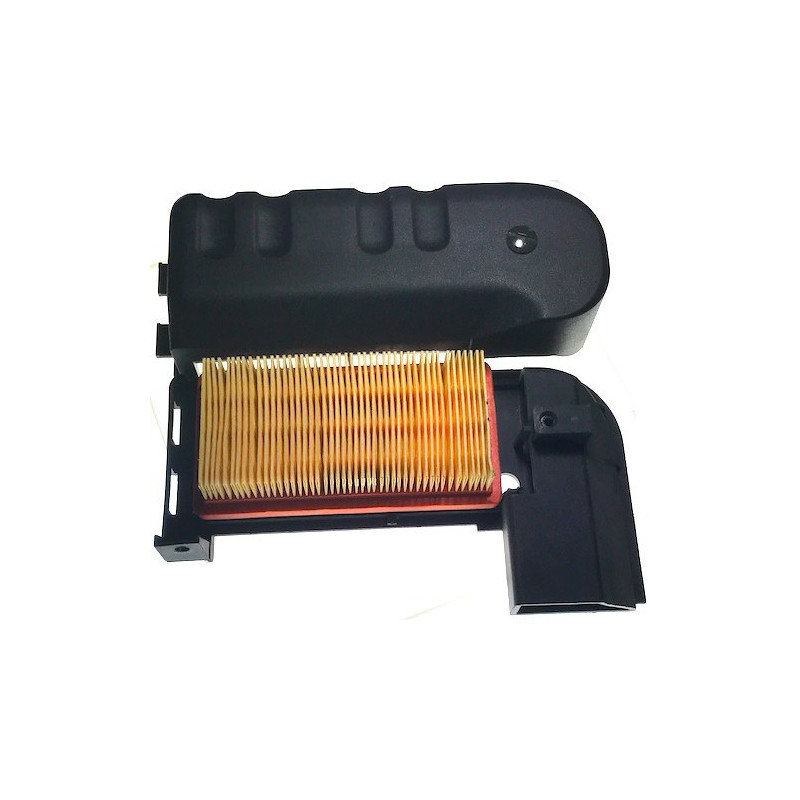 Air Cleaner Group Complete for Engine CM GEOTEC