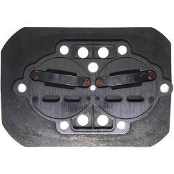 Valves Plate for Pump Unit FIAC AB 335