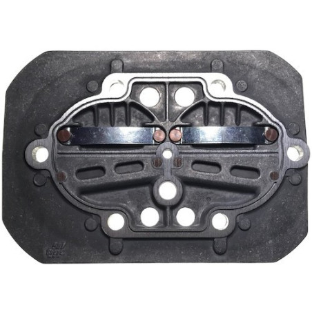 Pistone per Gruppo Pompante Fiac AB 248-338-360