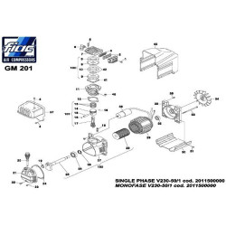 Ricambi Fiac per Gruppo Pompante GM 201