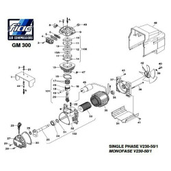 Ricambi Fiac per Gruppo Pompante GM 300