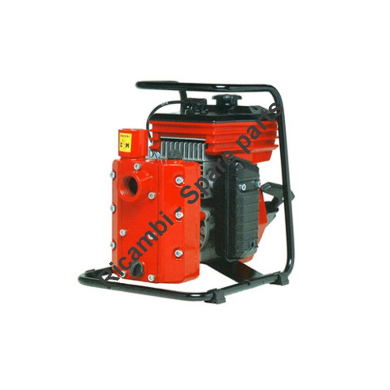 Ricambi CM Motori per Motopompe CM25-CM46/N