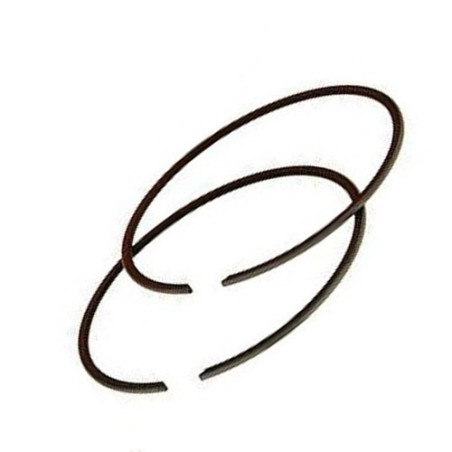 Fasce Pistone per Motopompa CM 80