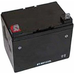 Batterie per Trattorini e Rasaerba