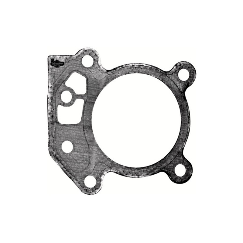 Ricambi Briggs & Stratton per Motore Serie 450