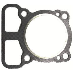 Guarnizione Testa Cilindro per Motori Briggs & Stratton 793455