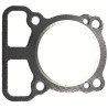 Guarnizione Testa Cilindro per Motori Briggs & Stratton 793455