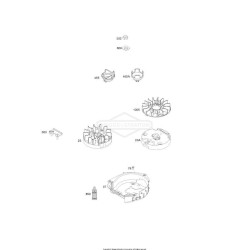 Motore B&S-Series 550 OHV-Albero 22x60