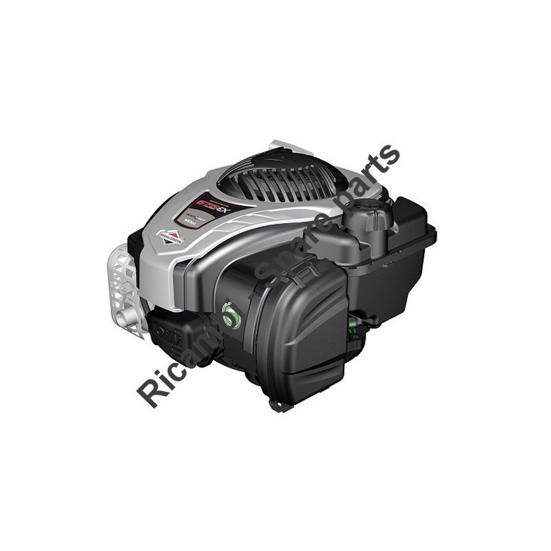 Ricambi Motore Briggs & Stratton 575EX Series™ OHV-Albero 22x80