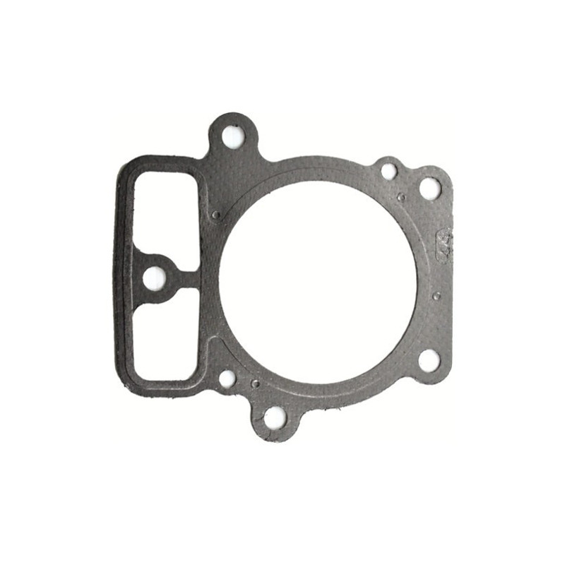 Ricambi Briggs & Stratton per Motore Serie 450