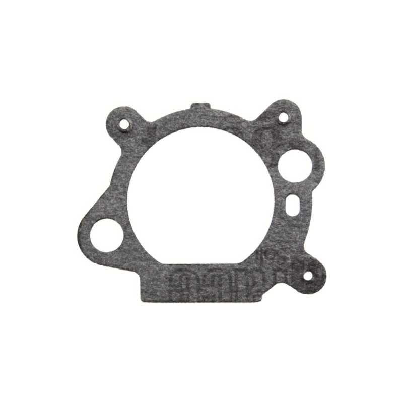 Guarnizione Testa Cilindro per Motori Briggs & Stratton 795629