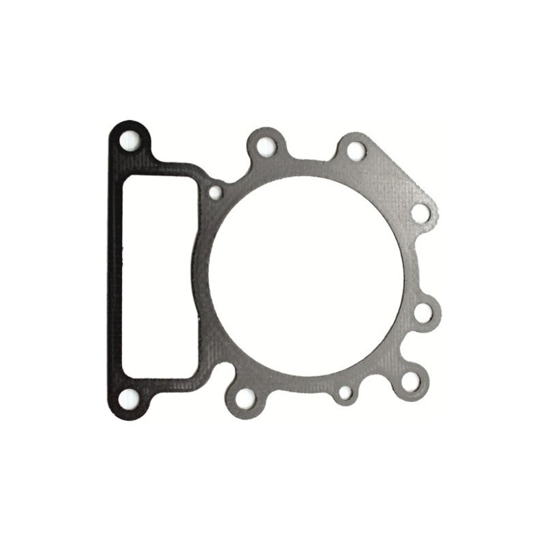 Ricambi Briggs & Stratton per Motore Serie 450