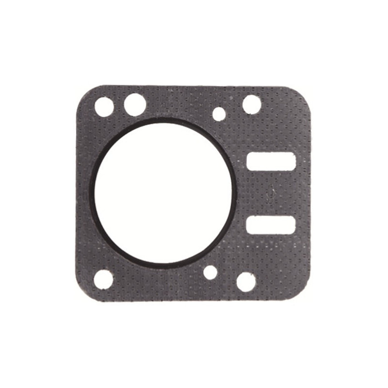Guarnizione Testa Cilindro per Motori Briggs & Stratton 798461