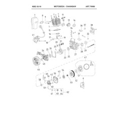 Ricambi Ama per Motosega NBG 38.16