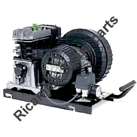 FIAC Spare Parts for Piston Air Compressor Pump Unit CCS 245