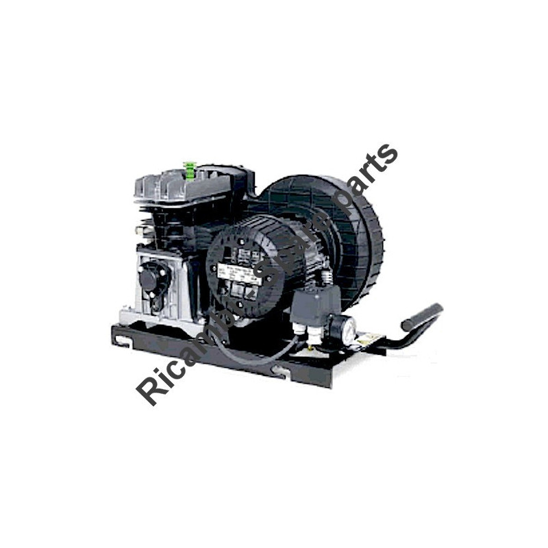 FIAC Spare Parts for Piston Air Compressor Unit CCS 245-335 SILENT