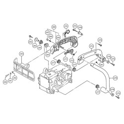 Ricambi Tanaka per Motosega ECS 3300D