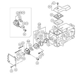 Ricambi Tanaka per Motosega ECS 3301D
