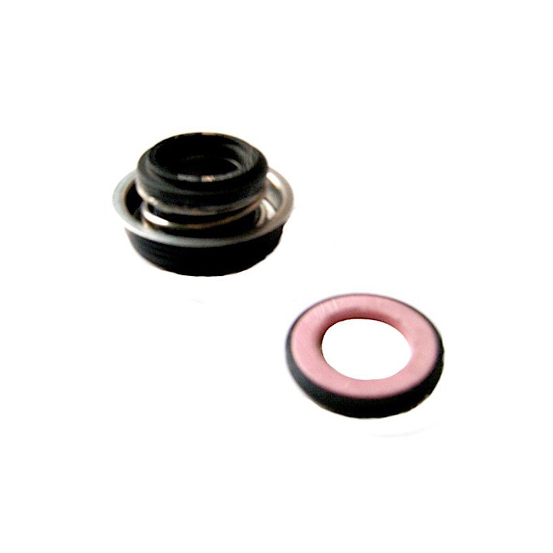 Kit Tenuta Per Motopompa Garland QCZ40