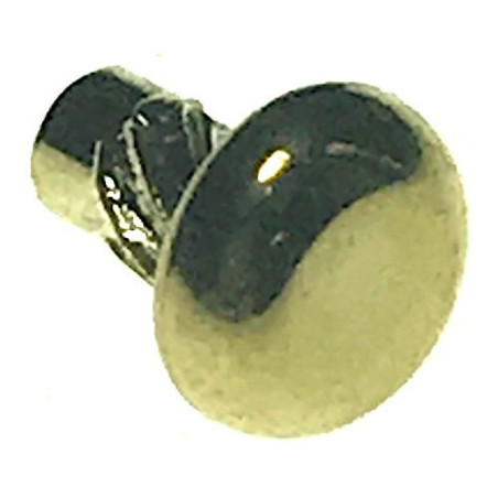 Screw mm 2,6x5 for Chainsaw Tanaka ECS 3300D