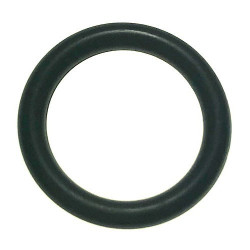 O-Ring mm 9.88x13.32x1.69 per Idropulitrice Bosch GHP 5-13 C
