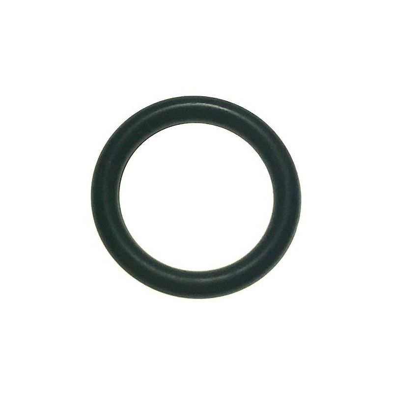 O-Ring mm 9.88x13.32x1.69 per Idropulitrice Bosch GHP 5-13 C