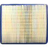 Flat Filter P10225 for Lawn Tractors with Briggs & Stratton Engines