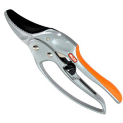Pruning shears with Ratchet Cut Swing