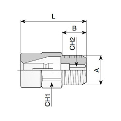 Raccordo automatico per Tubo Rilsan (M) 3/8”