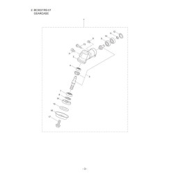 Ricambi Maruyama per Decespugliatore BC3021RS-01