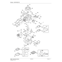 Ricambi Alpina per Motore RSC 100 OHV