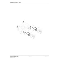 Ricambi Alpina per Motosega A 305